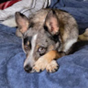 Meet your Posher, Veronica